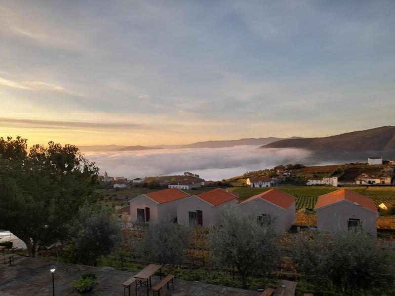 Quinta Manhas Douro image