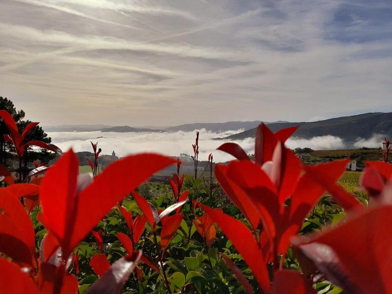 Quinta Manhas Douro image