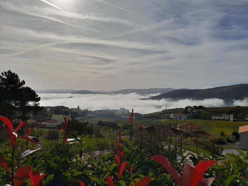 Quinta Manhas Douro image