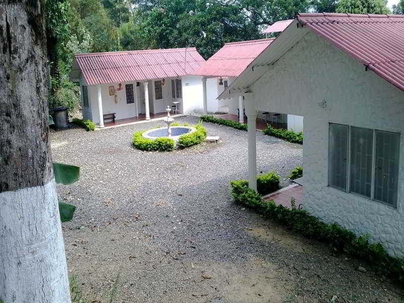 Hotel Villas De San Sebastián, Acacias