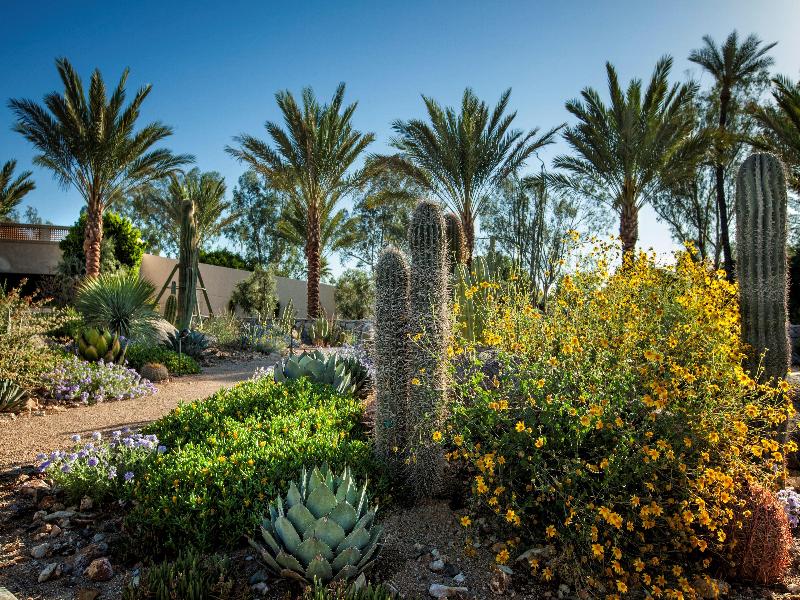 Scottsdale Resort And Spa Curio Collection Hilton image
