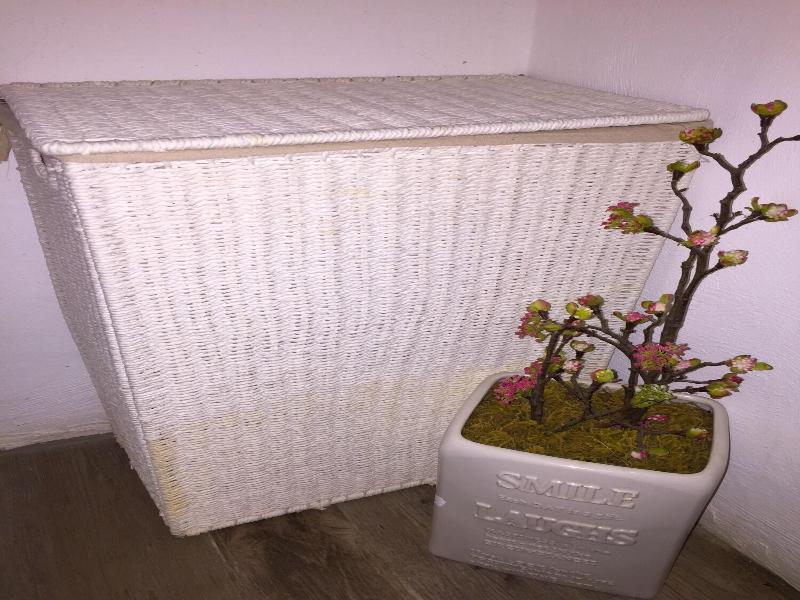 Toto Blue Hotel Boutique image