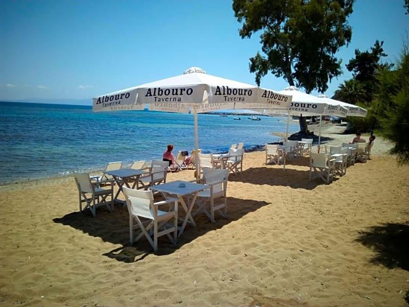 Albouro Apartments image