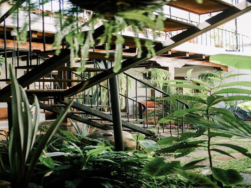 Cacao Hotel image