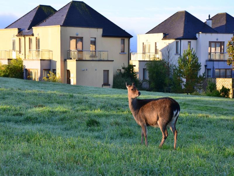 Waterford Castle Hotel & Lodges image