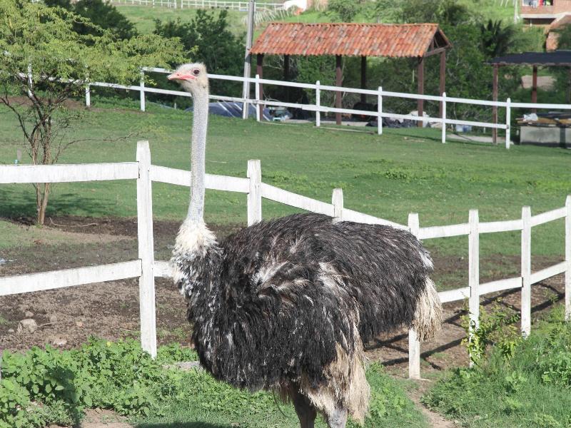 Fazenda Portal De Gravata