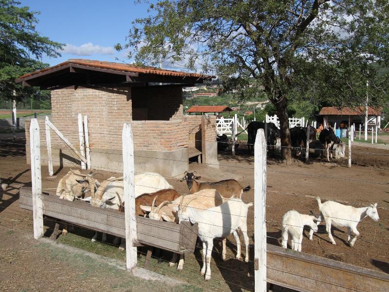 Fazenda Portal De Gravata