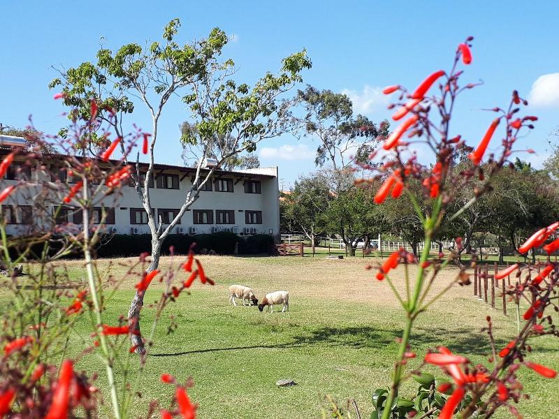 Fazenda Portal De Gravata