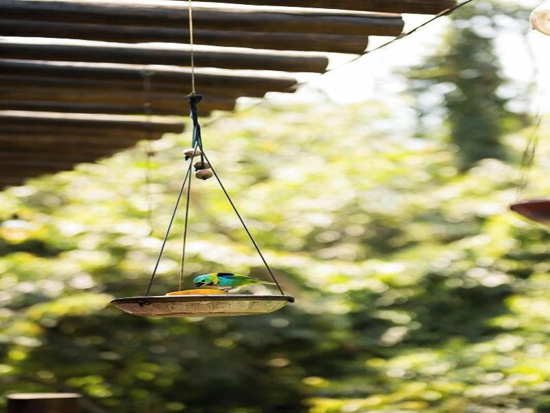 Kalango Hotel Boutique image