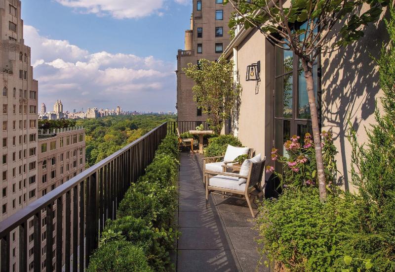 1 Hotel Central Park image