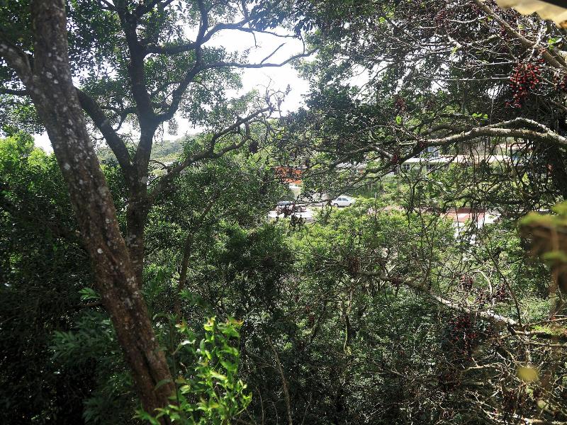 Jardines De Monteverde image
