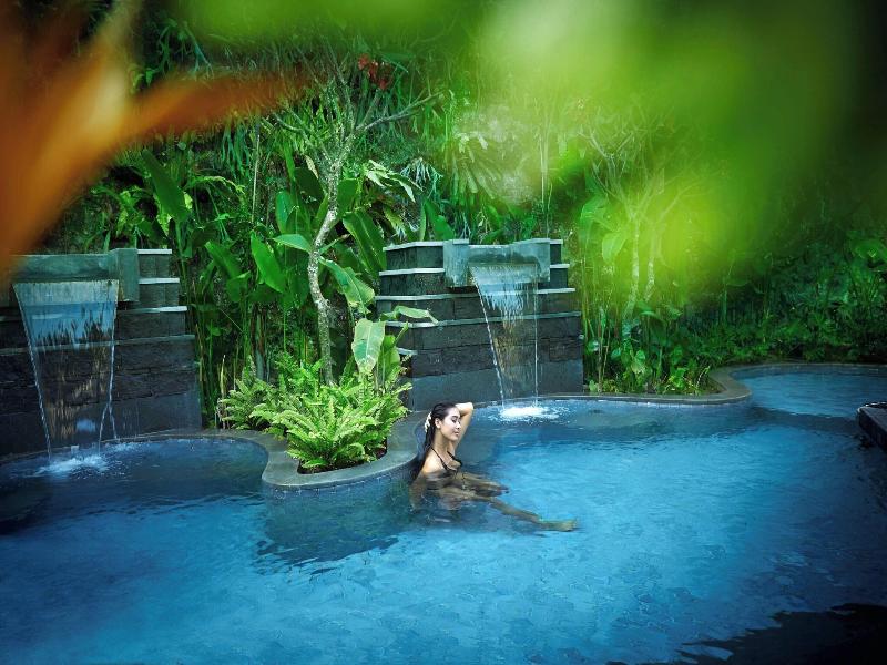 The Ritz-Carlton, Bali image