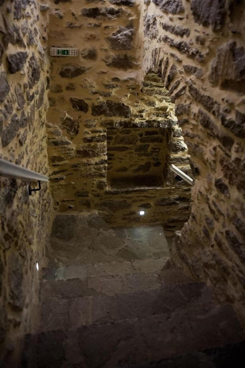 Lida Mary image
