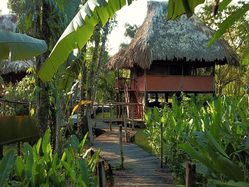Cotton Tree Lodge image