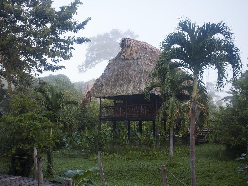 Cotton Tree Lodge image