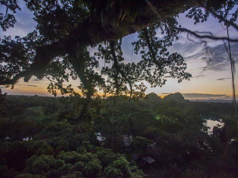 Cotton Tree Lodge image