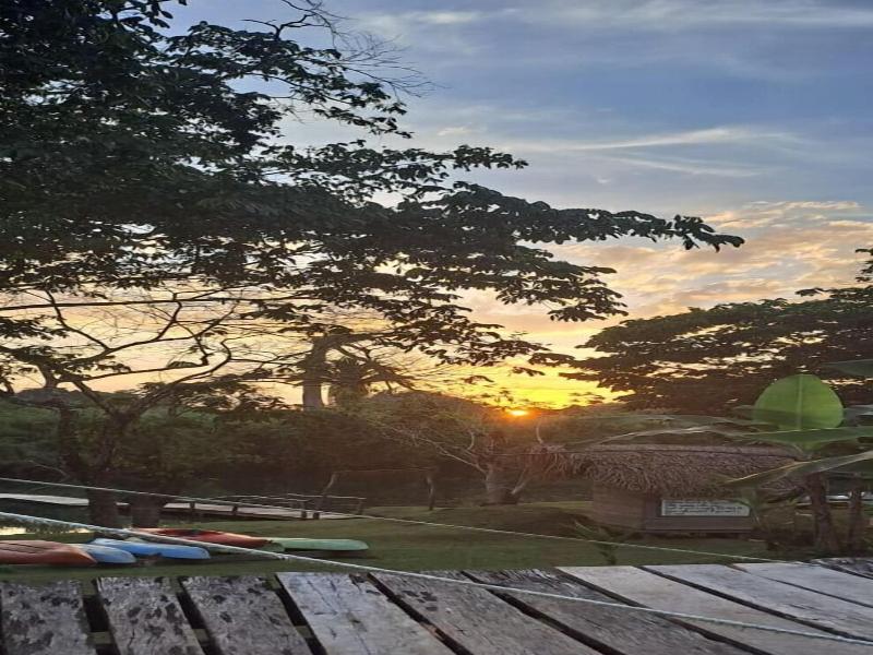 Cotton Tree Lodge image