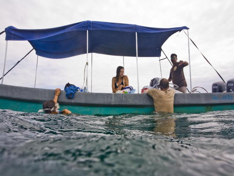 Cotton Tree Lodge image