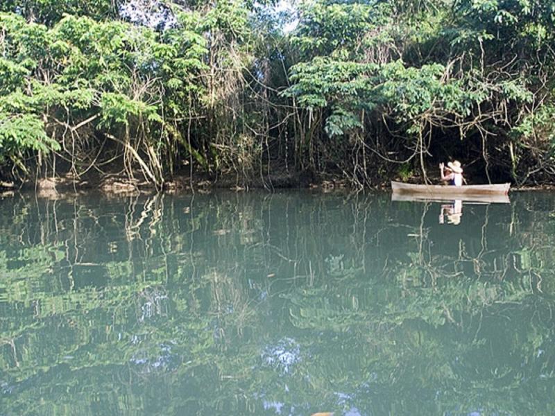 Cotton Tree Lodge image