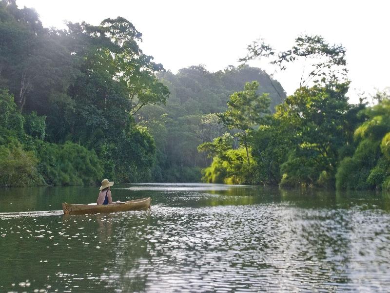 Cotton Tree Lodge image