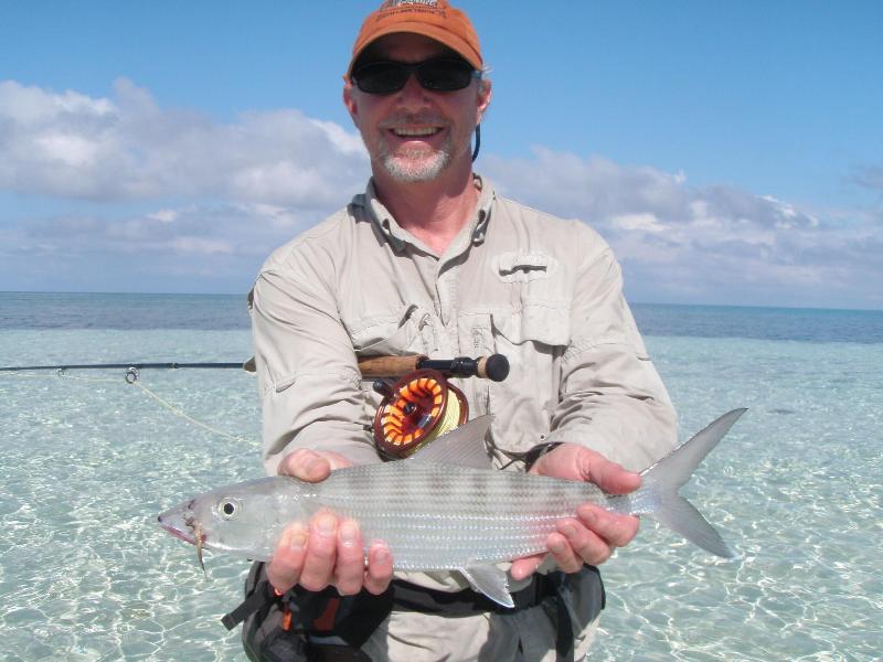 Cotton Tree Lodge image
