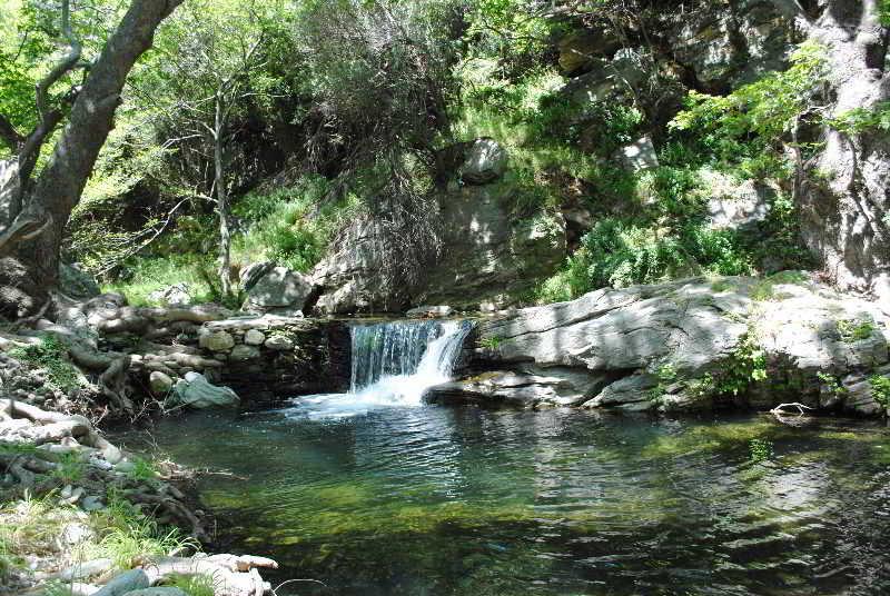 Onar image