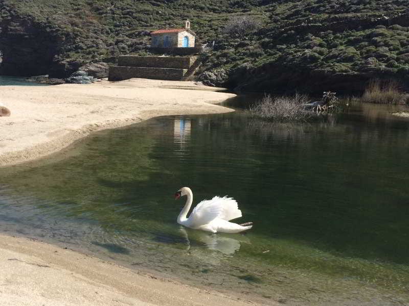 Onar image