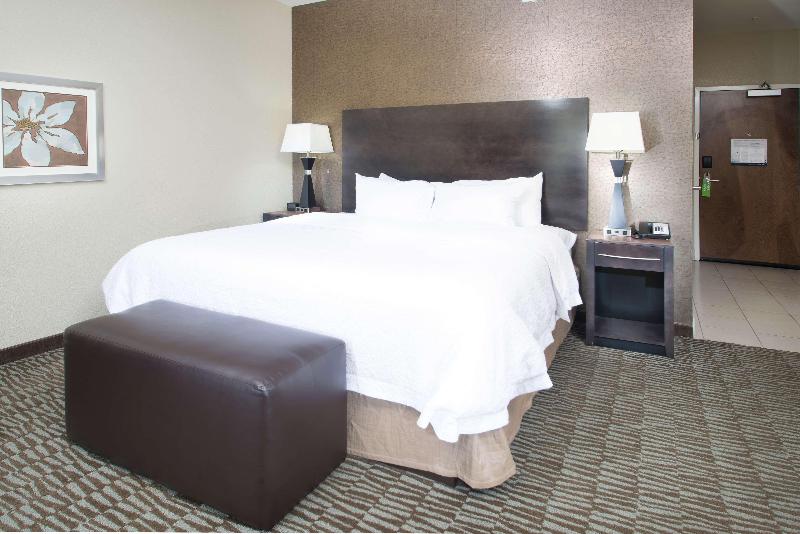 Hampton Inn Hernando image