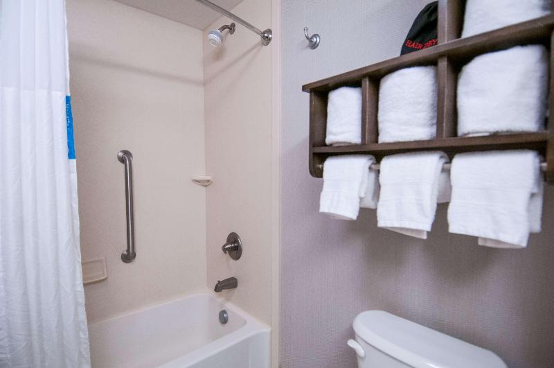 Hampton Inn Hernando image