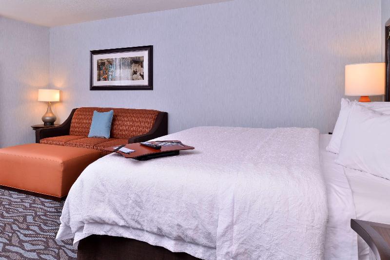 Hampton Inn Rome image