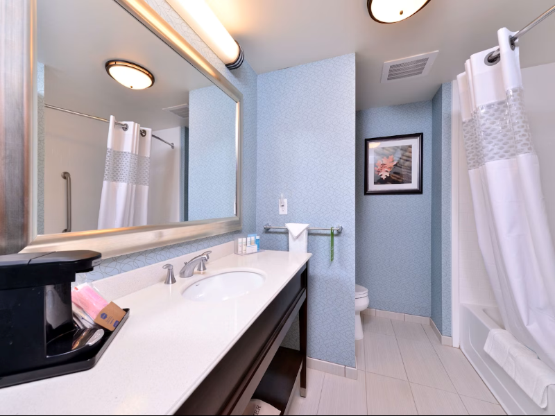 Hampton Inn Rome image