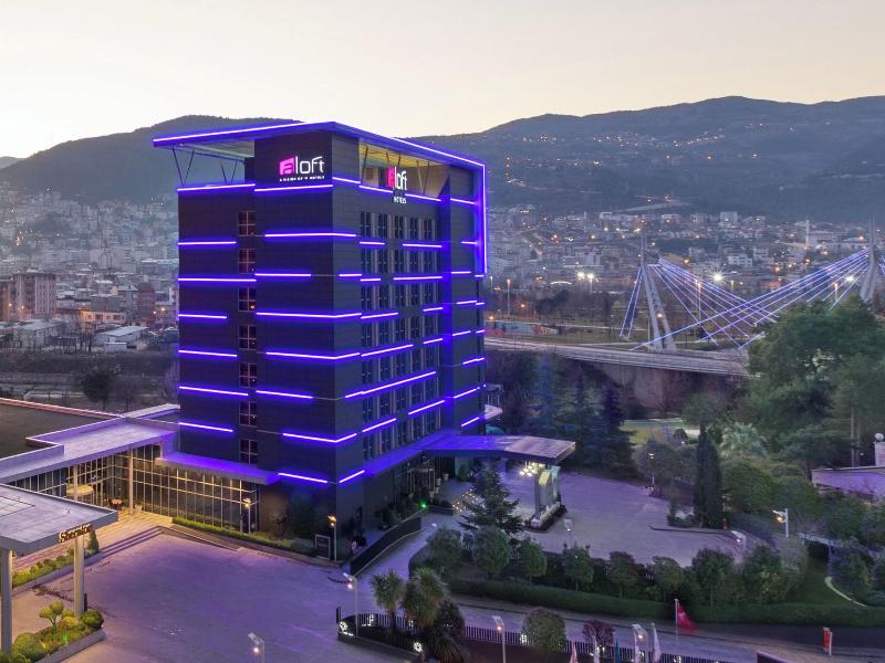 Aloft Bursa Hotel image