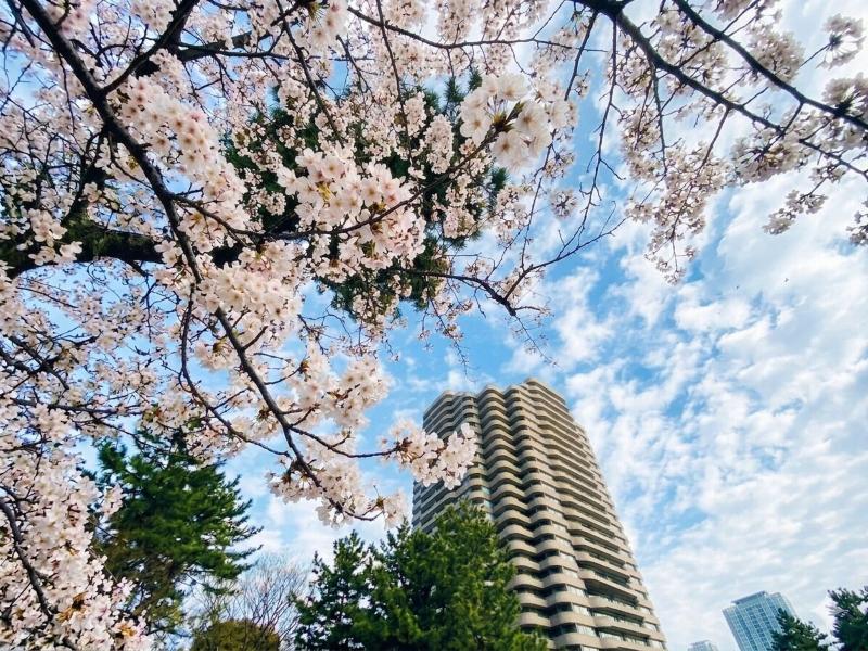 Tokyo Marriott Hotel image