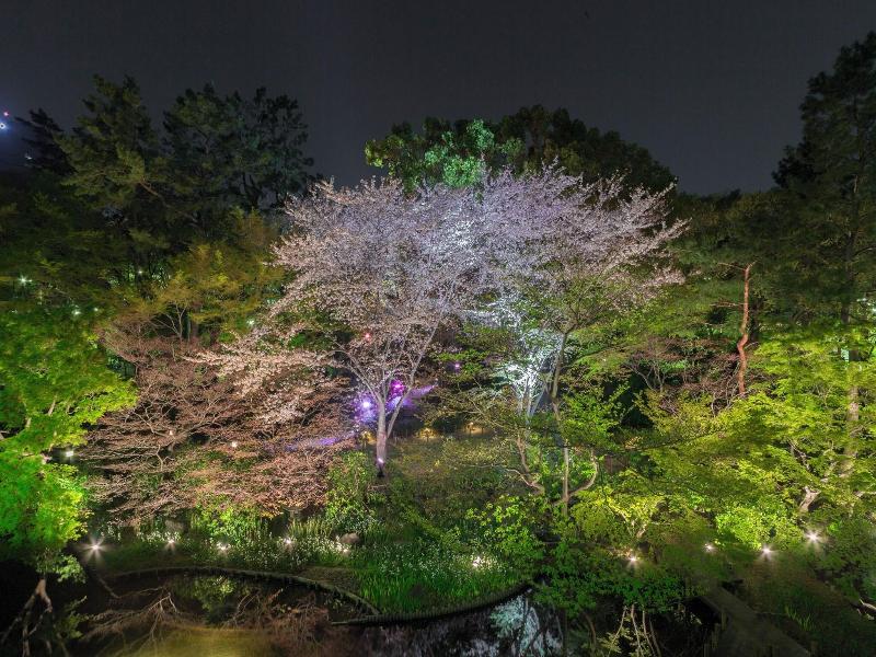 Tokyo Marriott Hotel image
