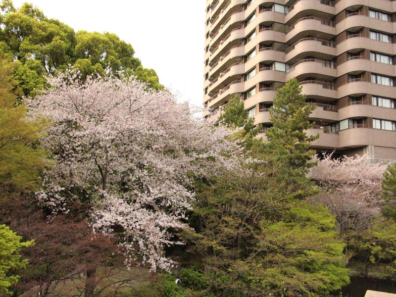 Tokyo Marriott Hotel image