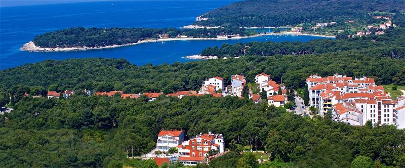 Luxury boutique hotel Villa Vulin image