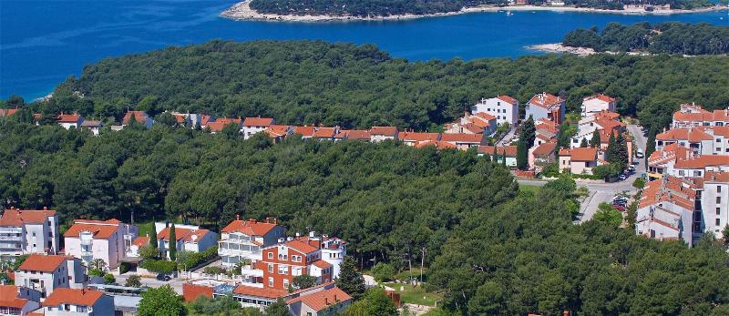 Luxury boutique hotel Villa Vulin image