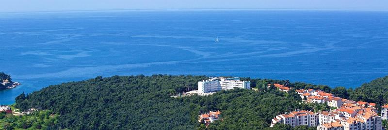 Luxury boutique hotel Villa Vulin image