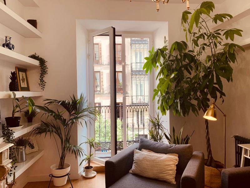 Hostal Patria image