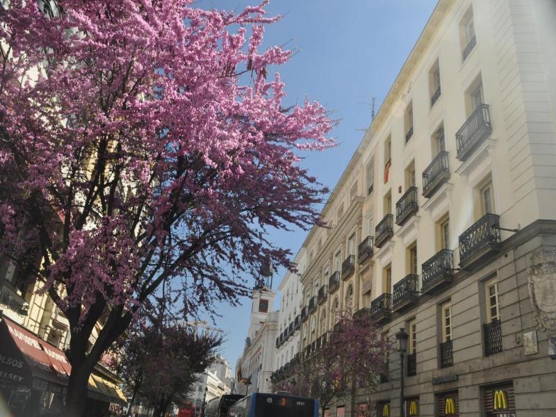 Hostal Patria image