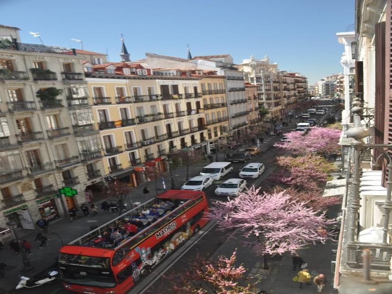 Hostal Patria image