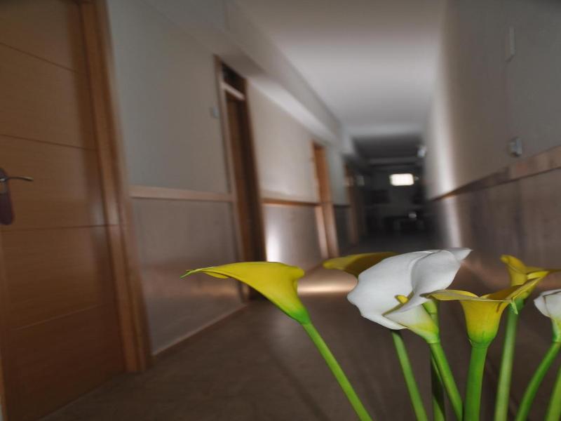Hostal Patria image