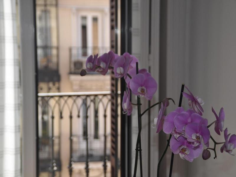 Hostal Patria image