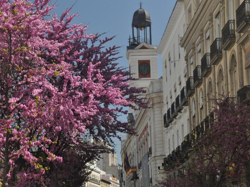 Hostal Patria image