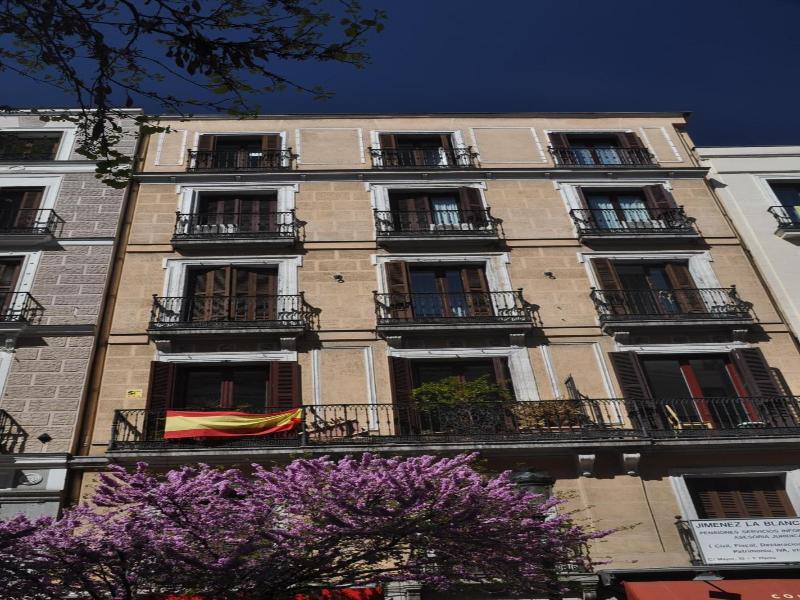Hostal Patria image