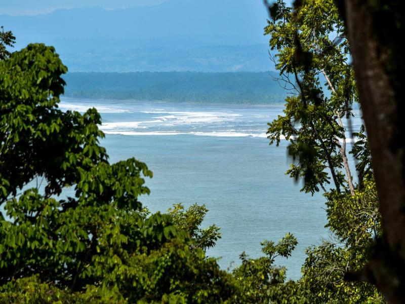 Tabulia Tree Hotel & Villas image