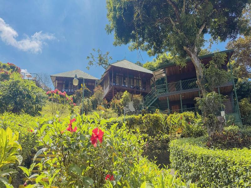 Tabulia Tree Hotel & Villas image