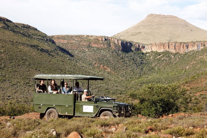 Mount Camdeboo Private Game Reserve by Newmark image