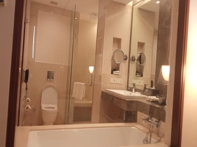 Anya Hotel Gurgaon image