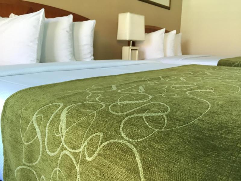 Seasons Florida Resort image
